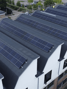 Hero De Gruyter Hero De Gruyter